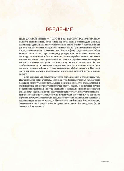 Анатомия виньяса-флоу и асан, выполняемых стоя