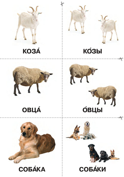 Карты, карточки, картинки... Вып. 3. Угадай слово! 2-е изд.