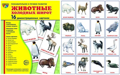Демонстр. картинки "Животные холодных" (173х220мм)