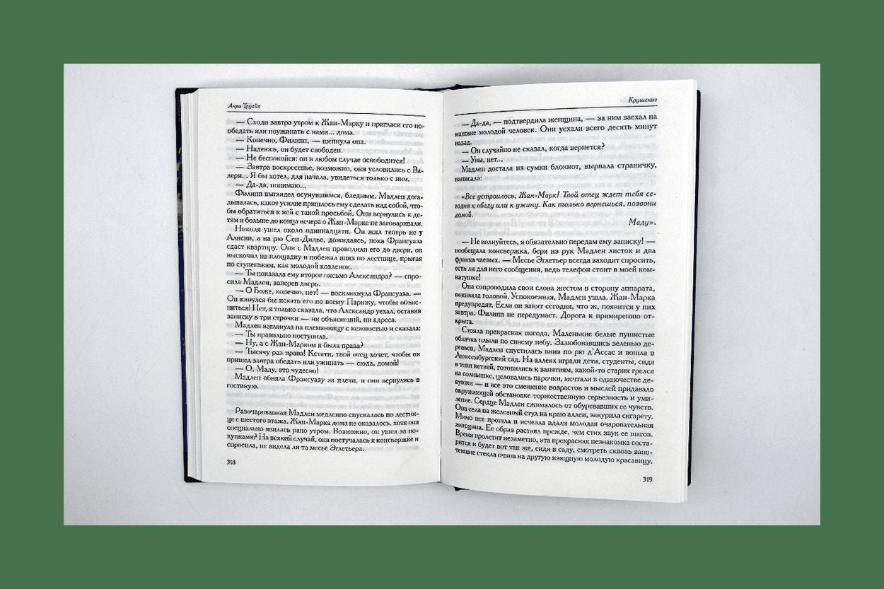 Семья Эглетьер. Книга 3. Крушение