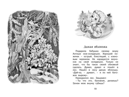 Волшебные краски. Рассказы и сказки
