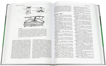 Анатомия растений Эзау. Меристемы, клетки и ткани растений: строение, функции и развитие. Эверт Р.Ф.