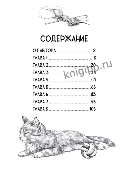 Я ТЕБЯ НЕ БРОШУ. Полосатое счастье (7БЦ)