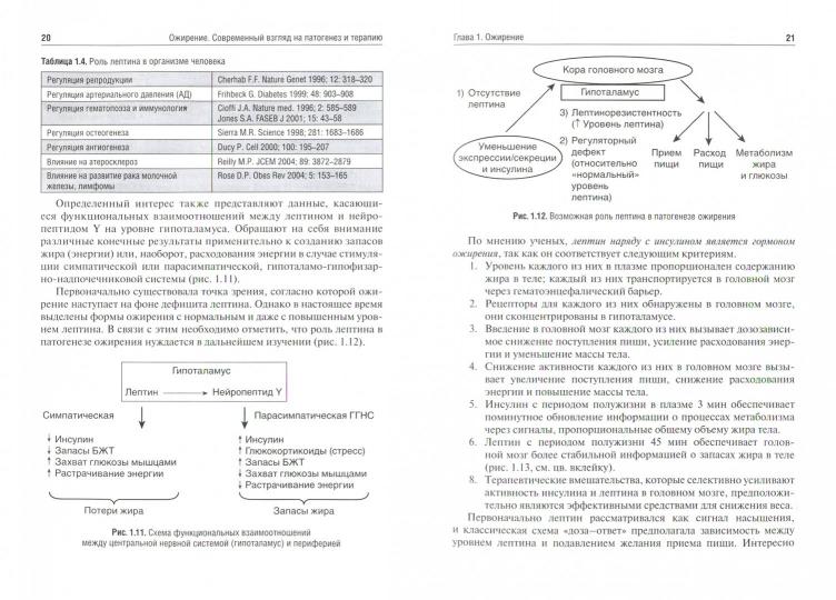Ожирение. Современный взгляд на патогенез и терапию : учебное пособие / А. С. Аметов [и др.]. — Москва : ГЭОТАР-Медиа, 2021. — Т. I. — 384 c. : ил.