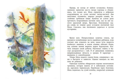 НМ Зиганшин. Маха, или История жизни кунички