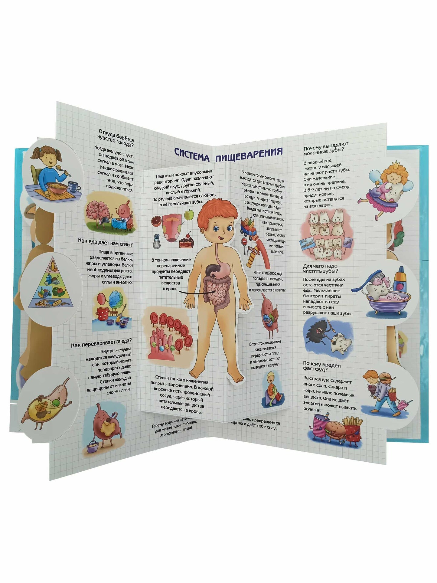 Энциклопедия 3Д СЕКРЕТЫ ЧЕЛОВЕКА твёрдый