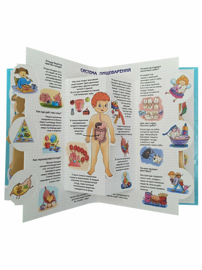 Энциклопедия 3Д СЕКРЕТЫ ЧЕЛОВЕКА твёрдый