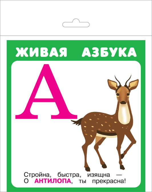 Живая азбука (27 карточек с европодвесом)