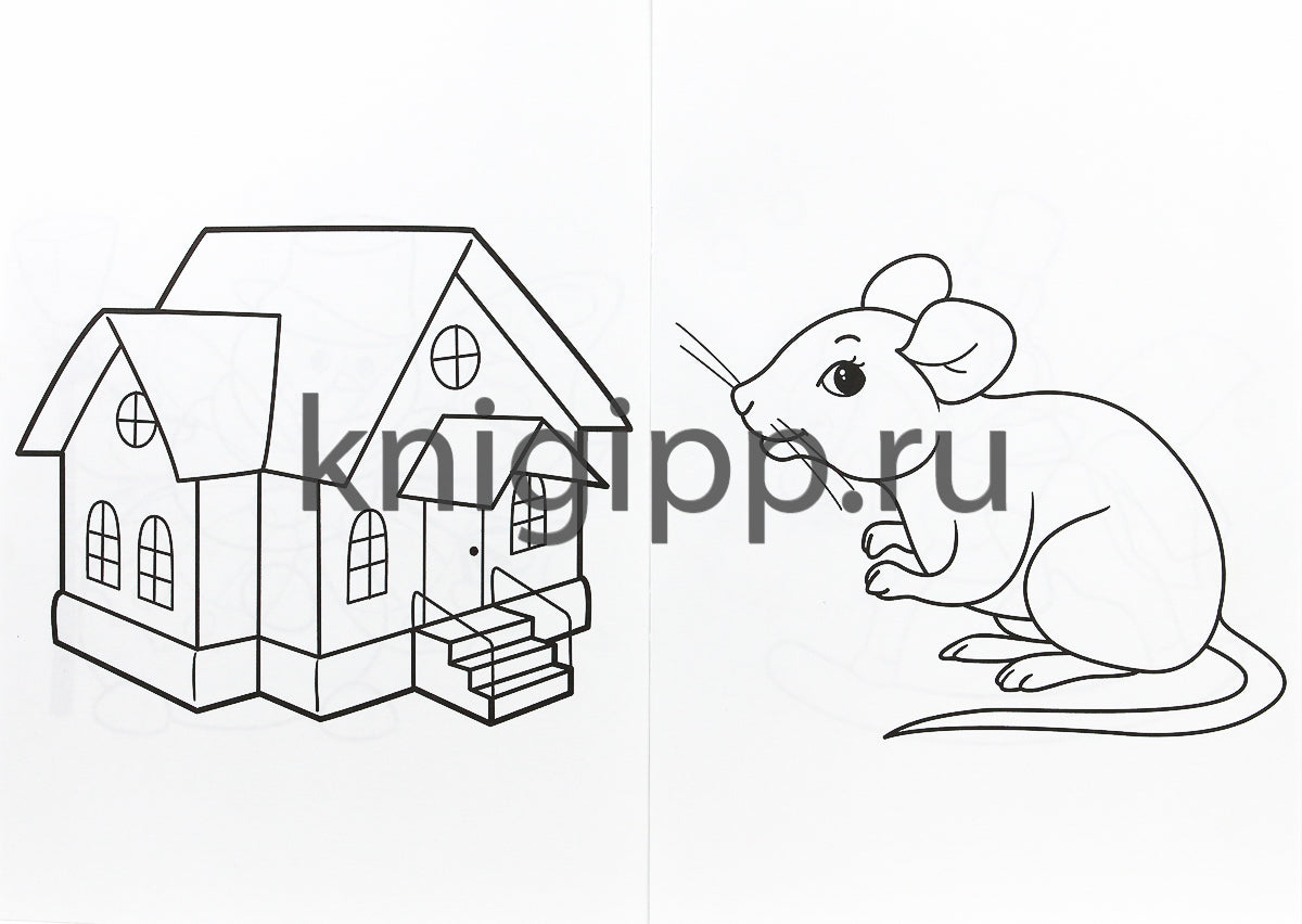 РАСКРАСКА А4 эконом. ДЛЯ САМЫХ МАЛЕНЬКИХ