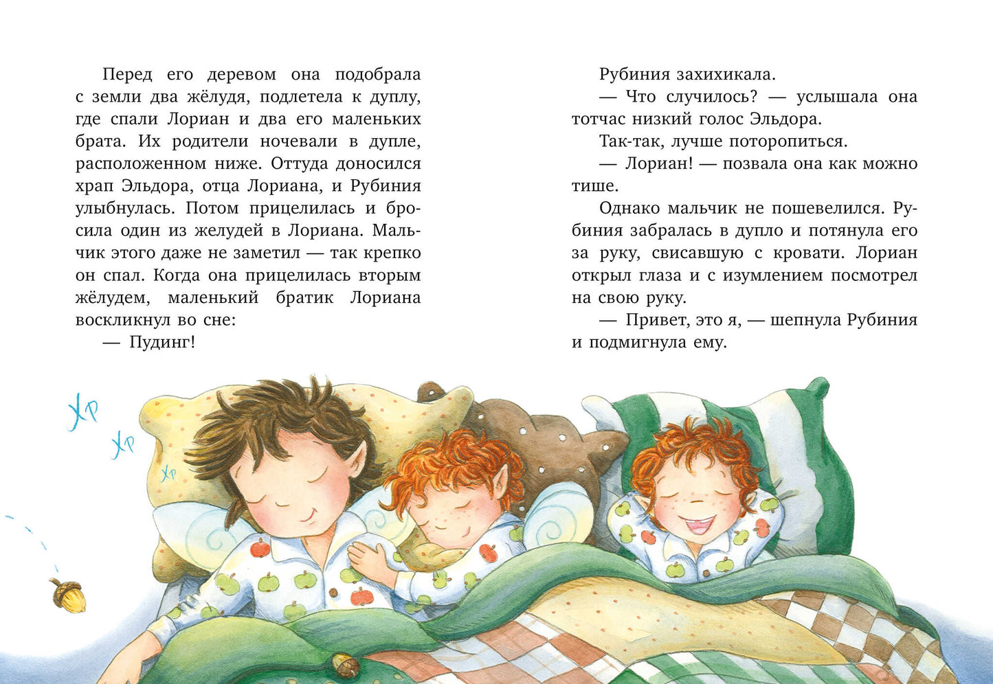 CLEVER-чтение. Рубиния Чудесное Сердце, смелая девочка из рода лесных эльфов. Тайна черных перьев/Ан