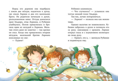 CLEVER-чтение. Рубиния Чудесное Сердце, смелая девочка из рода лесных эльфов. Тайна черных перьев/Ан