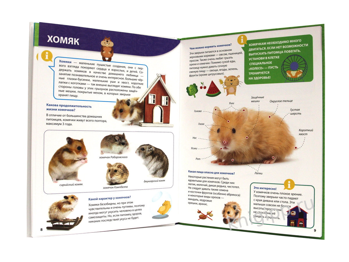 ПЕРВАЯ ДЕТСКАЯ ЭНЦИКЛОПЕДИЯ. ВСЁ О ДОМАШНИХ ПИТОМЦАХ МАЛЫШАМ