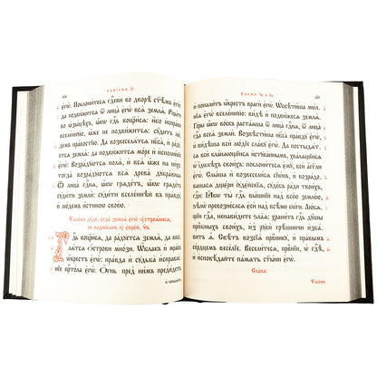 Псалтирь на церковно-славянском языке, крупным шрифт (большой формат, золот тиснен.)