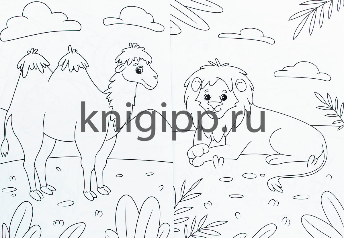 МОЯ РАСКРАСКА А4 чёрная. В ЗООПАРКЕ