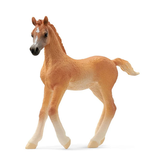 Schleich. Фигурка "Арабский жеребенок" арт.13984