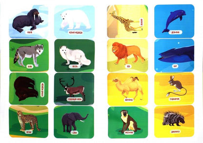 Животные: книжка-плакат