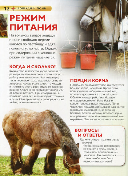 Лошади и пони. Детская энциклопедия