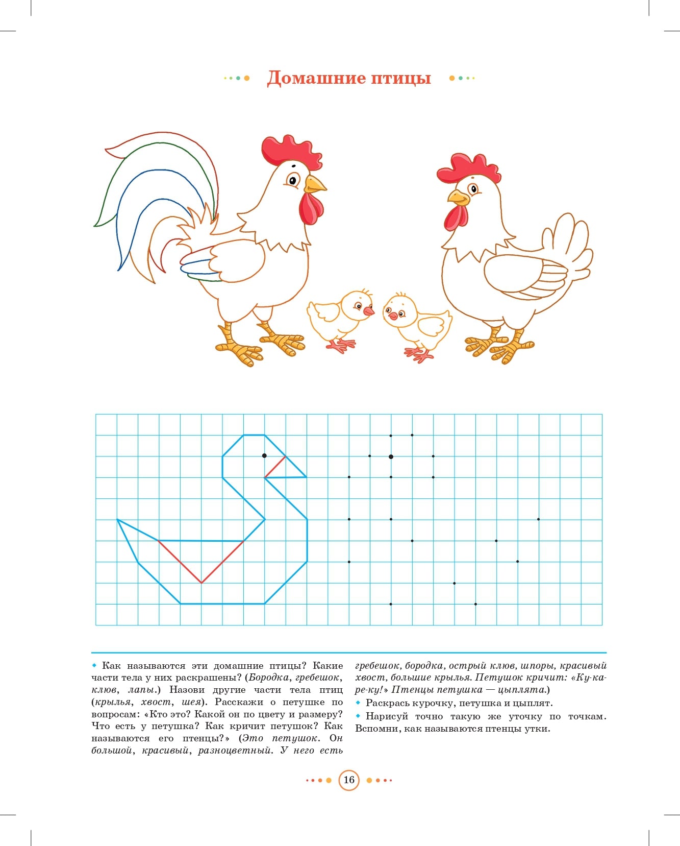 Тетрадь для детей среднего дошкольного возраста с ОНР (с 4 до 5 лет). Средняя группа. НОВЫЕ ЦВЕТНЫЕ. ФАОП ДО. ФГОС ДО.
