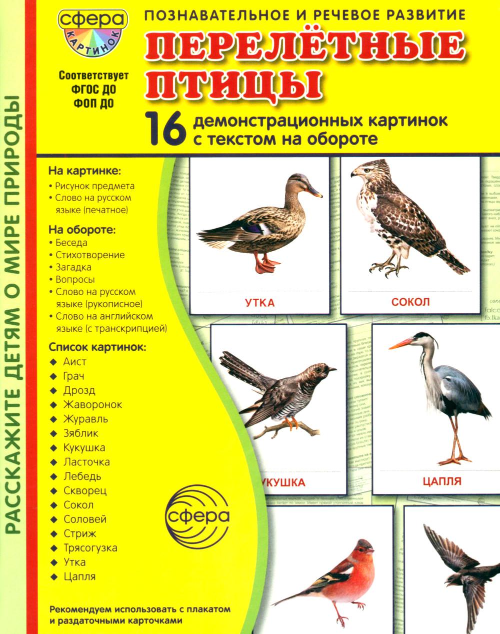 Дем. картинки СУПЕР Перелетные птицы В ПАПКЕ. 16 демонстрационных картинок с текстом (173х220 мм)