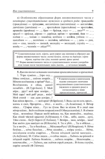 Грамматика русского языка в упражнениях и комментариях. Морфология
