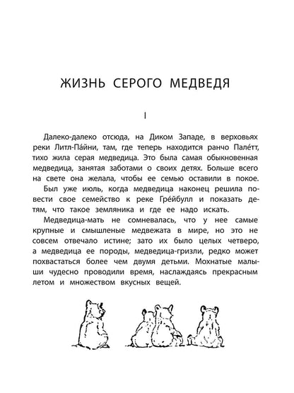 Сетон-Томпсон. Жизнь серого медведя.