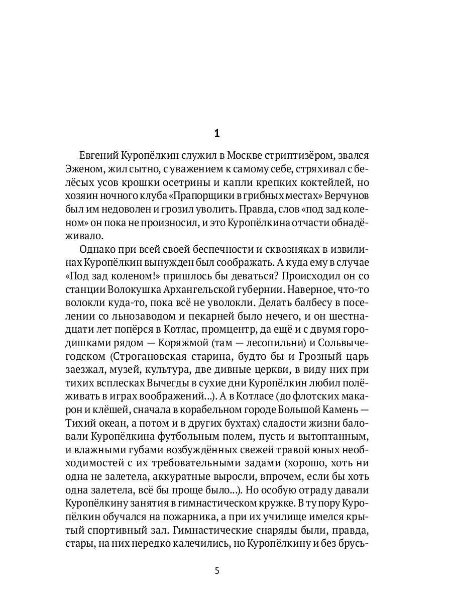 Земля имеет форму чемодана: роман