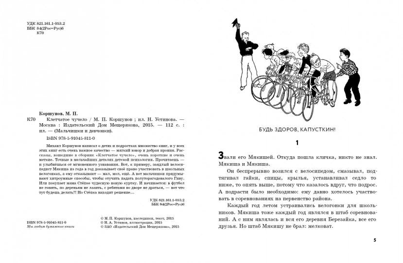 Клетчатое чучело