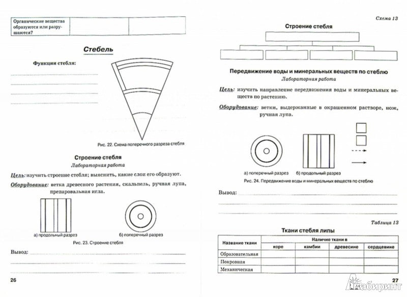 Биология 6кл Растения к уч. Пономаревой (Раб. тет)