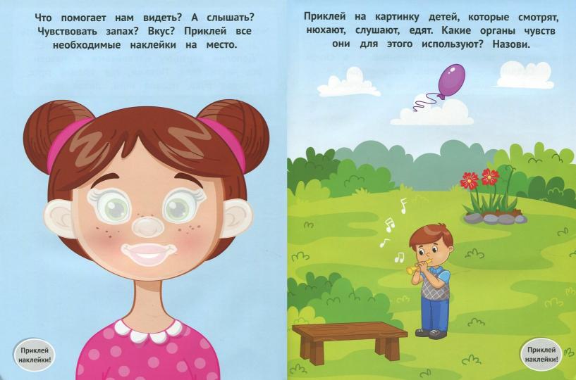 Мое тело 1+:развивающая книжка с наклейками