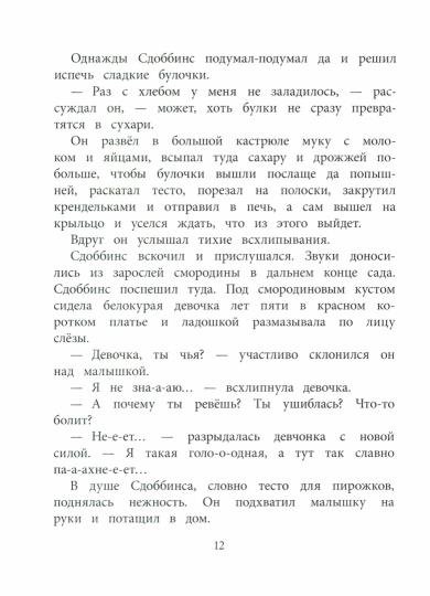 НМ Бабурова. Бурквиль
