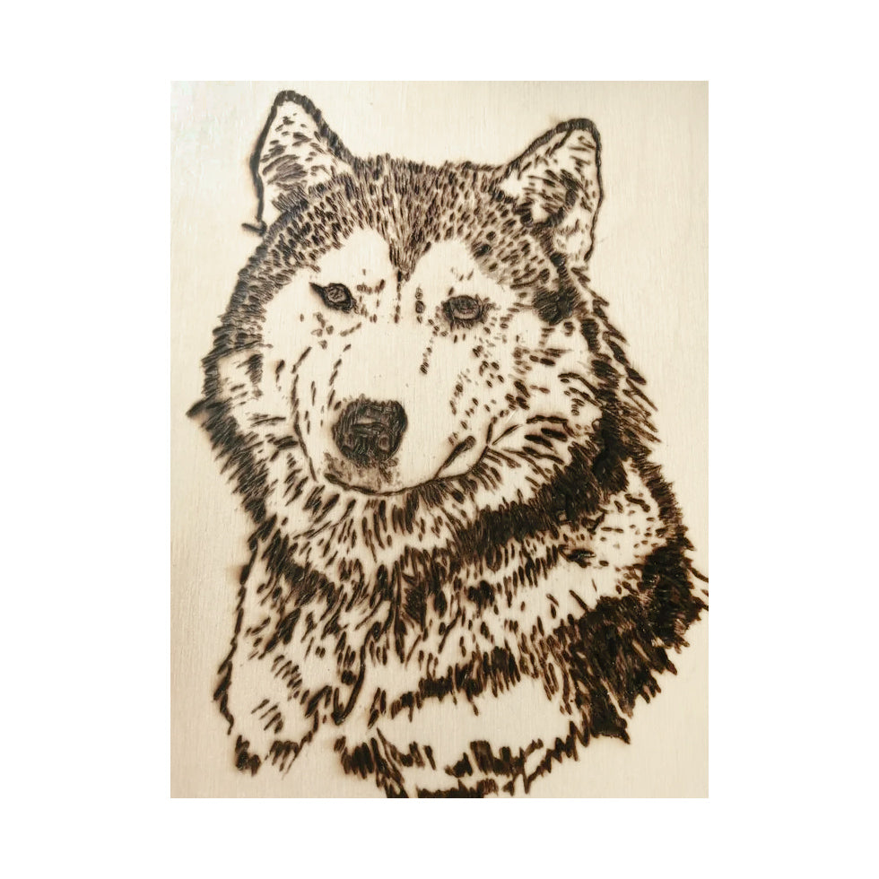 Доска комбинированная №7 (рус.алф, цифры, знаки, h25 мм, магн.круглая мозаика) неокр.