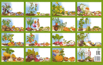 Карточки. Овощи ; Карточки. Овощи