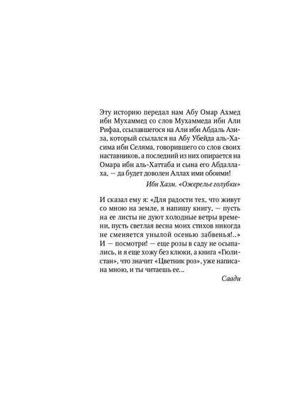 Повесть о Ходже Насреддине: Возмутитель спокойствия: роман