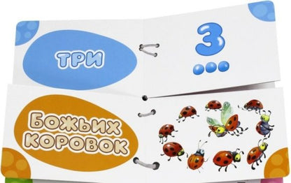 Книжка Найди половинки. Цифры и счет