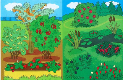 Ягоды: демонстр. интерактивные карточки