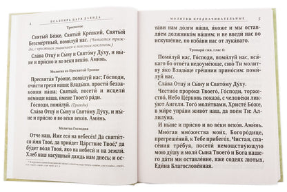 Псалтирь святого пророка и царя Давида (крупным шрифтом) (бледно желто-зеленый)