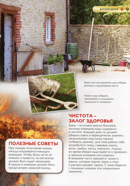 Лошади и пони. Детская энциклопедия