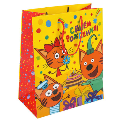 Paquet sous-marin de 10 x 12 pouces
