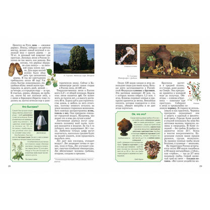 Природа России