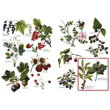 Ладушки. Энциклопедия детского фольклора. - 2-е изд.