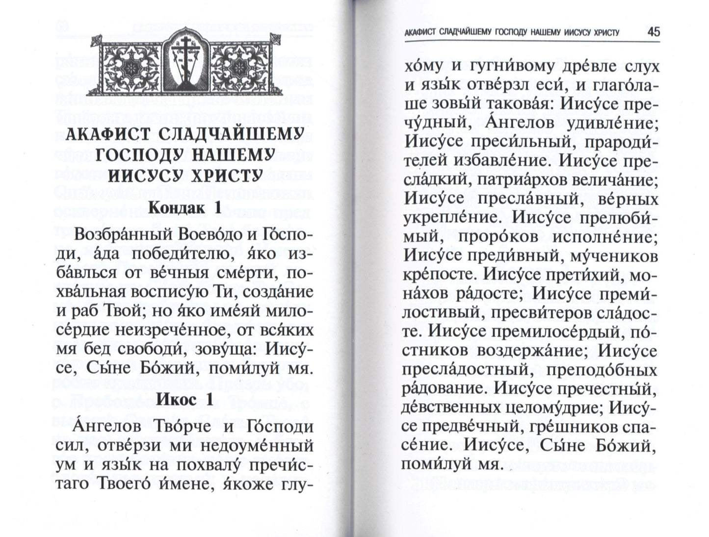 Les professeurs, les chefs des grands, les chefs et les autres