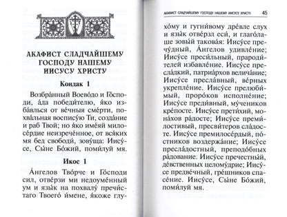 Les professeurs, les chefs des grands, les chefs et les autres