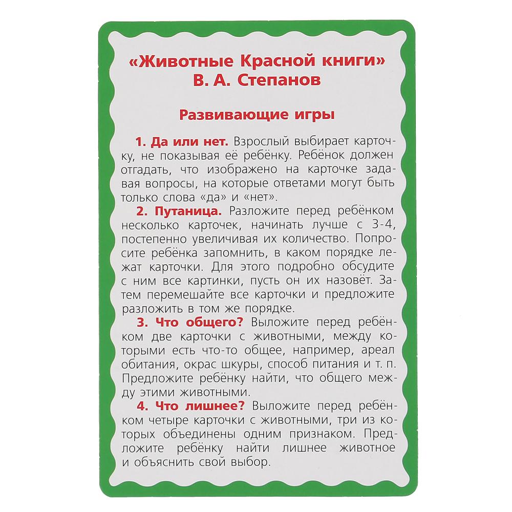 РАЗВИВАЮЩИЕ КАРТОЧКИ. В. СТЕПАНОВ. ЖИВОТНЫЕ КРАСНОЙ КНИГИ (32 КАРТОЧКИ). КОР: 110Х160ММ в кор.32шт