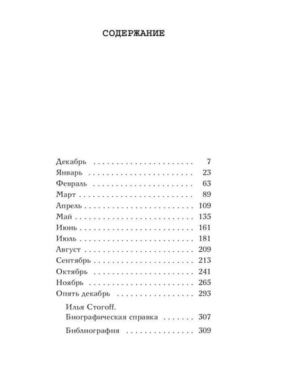 13 месяцев: роман