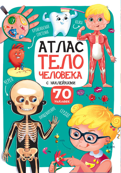 Атлас. Тело человека