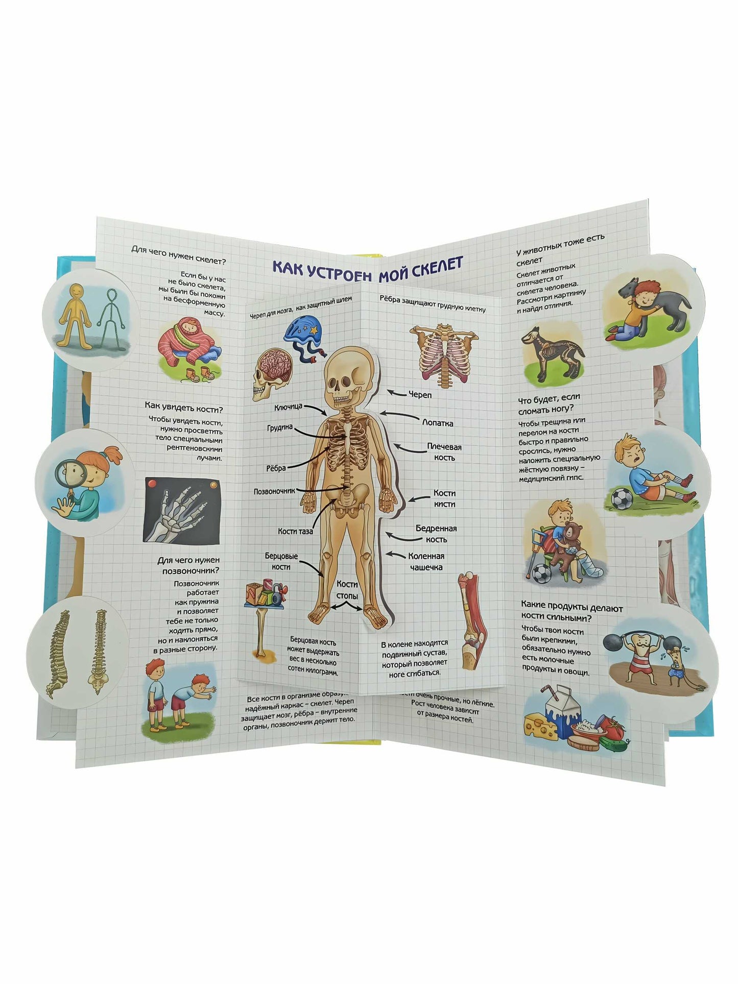 Энциклопедия 3Д СЕКРЕТЫ ЧЕЛОВЕКА твёрдый