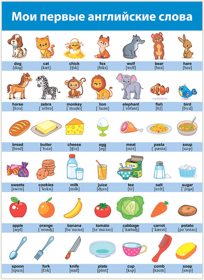 4024 Комплект плакатов. Английский язык