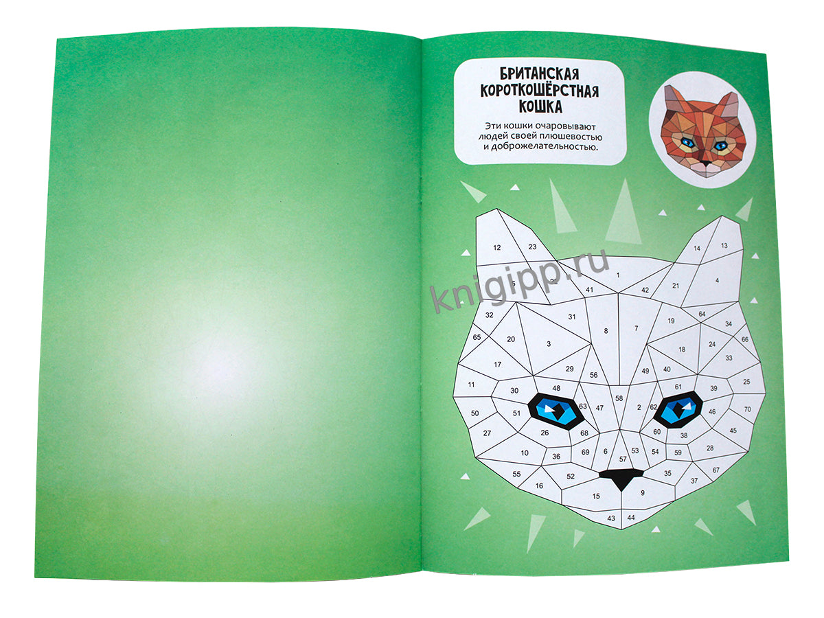 РАСКРАСЬ НАКЛЕЙКАМИ ПО НОМЕРАМ. КОШКИ