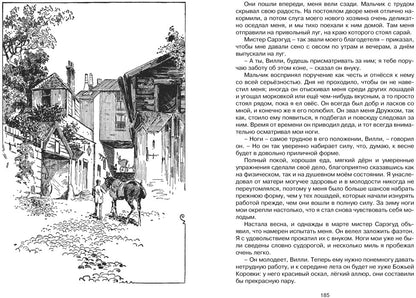 Чёрный Красавчик