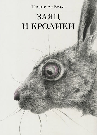 П.Заяц и кролики
